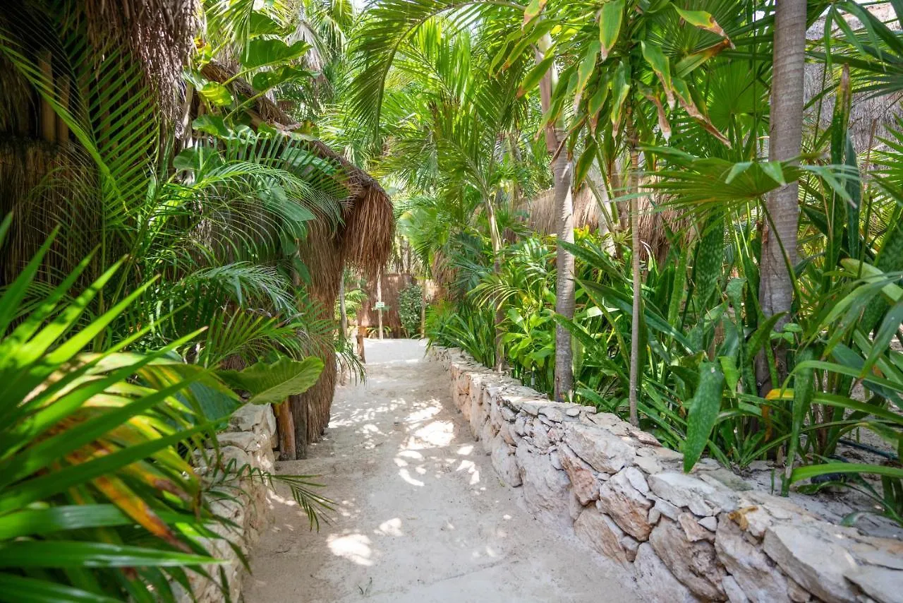 ****  Ahau Tulum (Adults Only) Otel Meksika